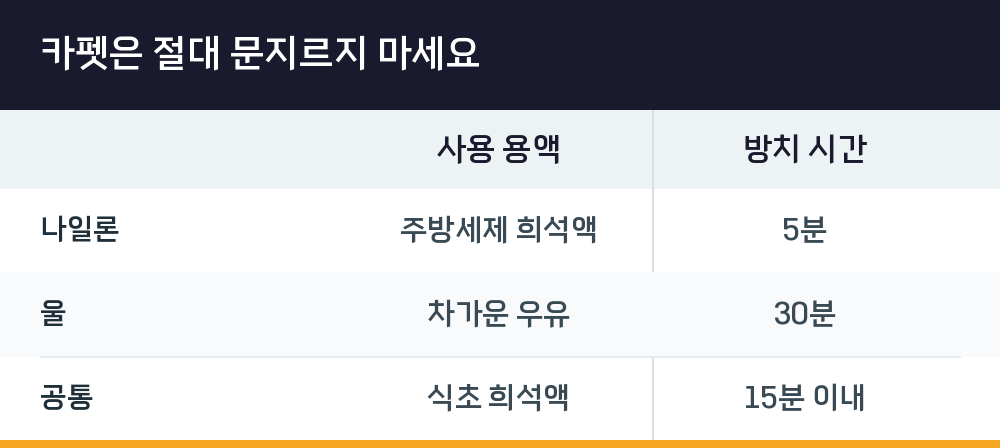 카펫은 절대 문지르지 마세요