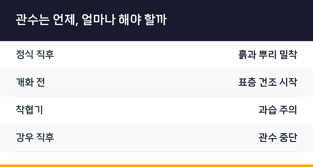 관수는 언제, 얼마나 해야 할까