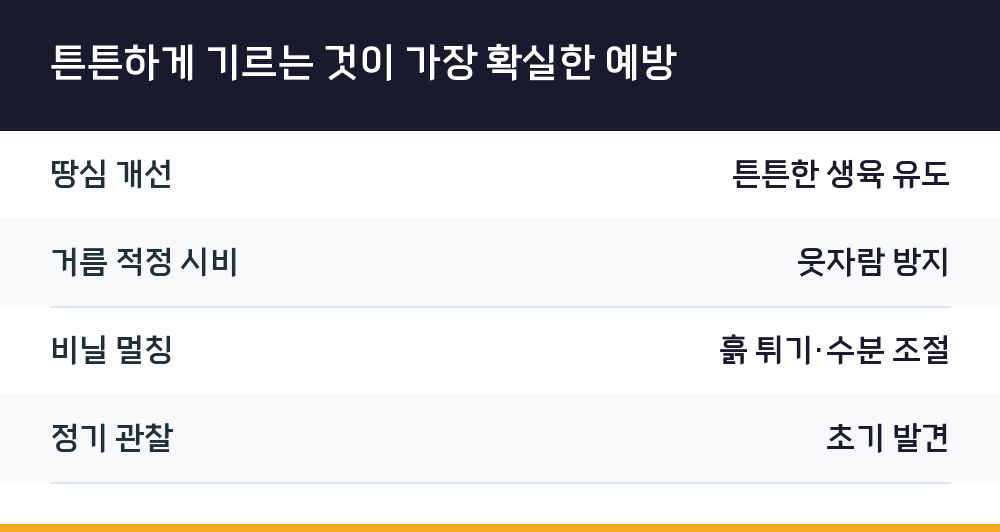 튼튼하게 기르는 것이 가장 확실한 예방