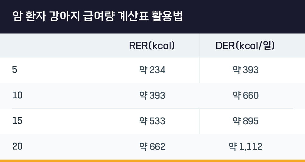 암 환자 강아지 급여량 계산표 활용법