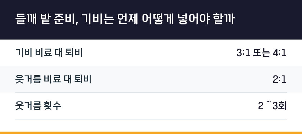 들깨 밭 준비, 기비는 언제 어떻게 넣어야 할까