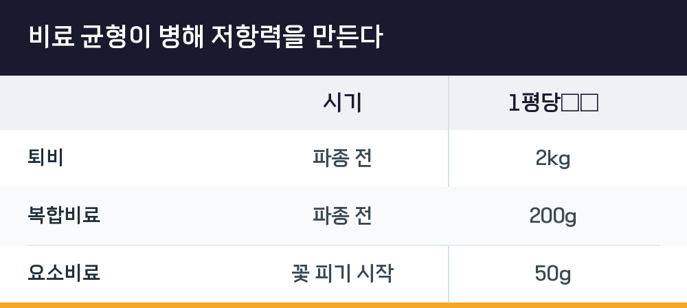 비료 균형이 병해 저항력을 만든다