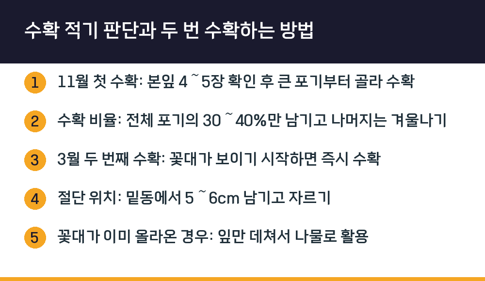 수확 적기 판단과 두 번 수확하는 방법