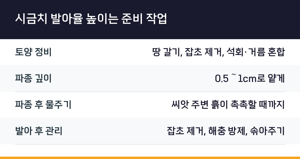 시금치 발아율 높이는 준비 작업