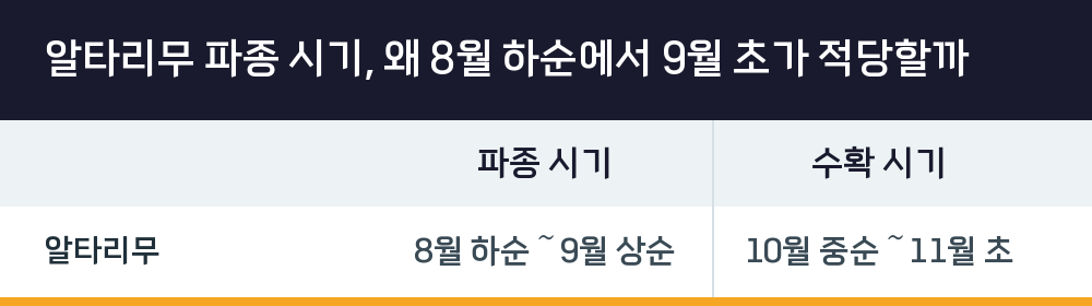 알타리무 파종 시기, 왜 8월 하순에서 9월 초가 적당할까