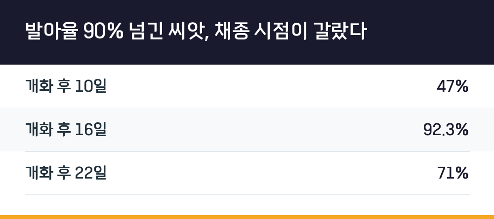 발아율 90% 넘긴 씨앗, 채종 시점이 갈랐다