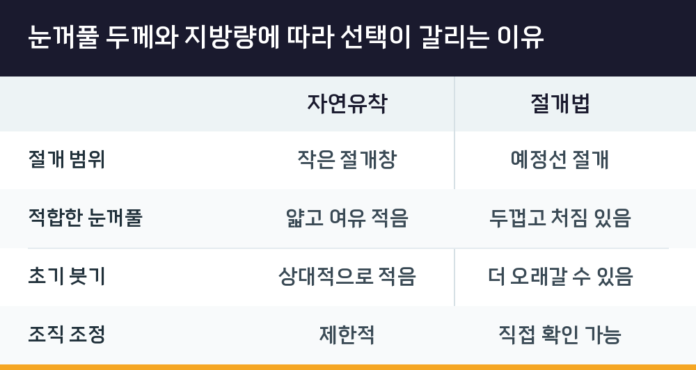 눈꺼풀 두께와 지방량에 따라 선택이 갈리는 이유