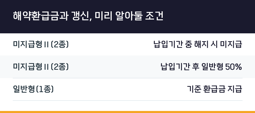 해약환급금과 갱신, 미리 알아둘 조건