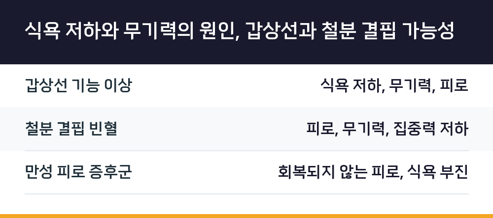 식욕 저하와 무기력의 원인, 갑상선과 철분 결핍 가능성