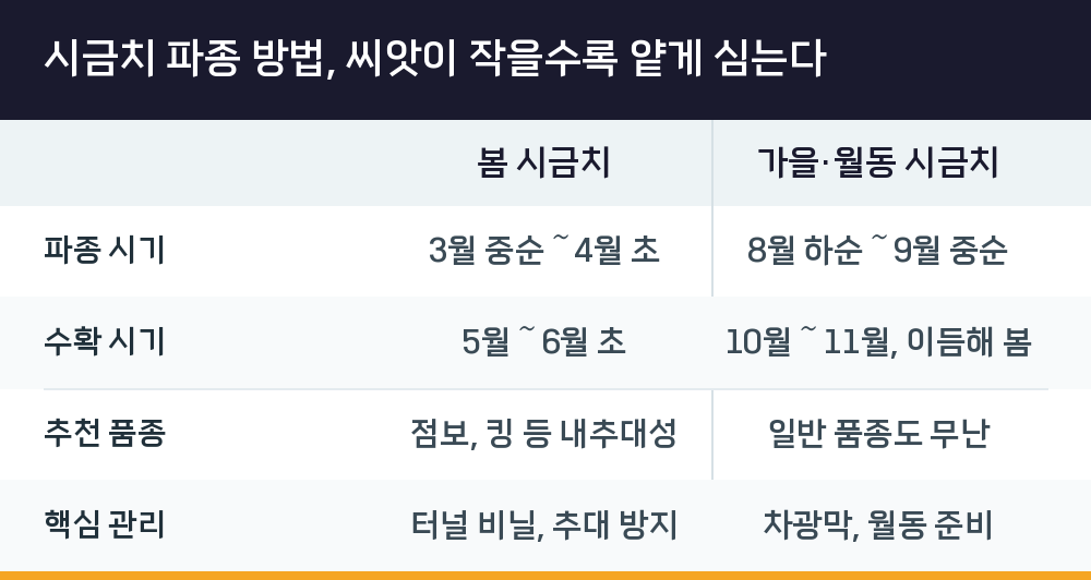 시금치 파종 방법, 씨앗이 작을수록 얕게 심는다