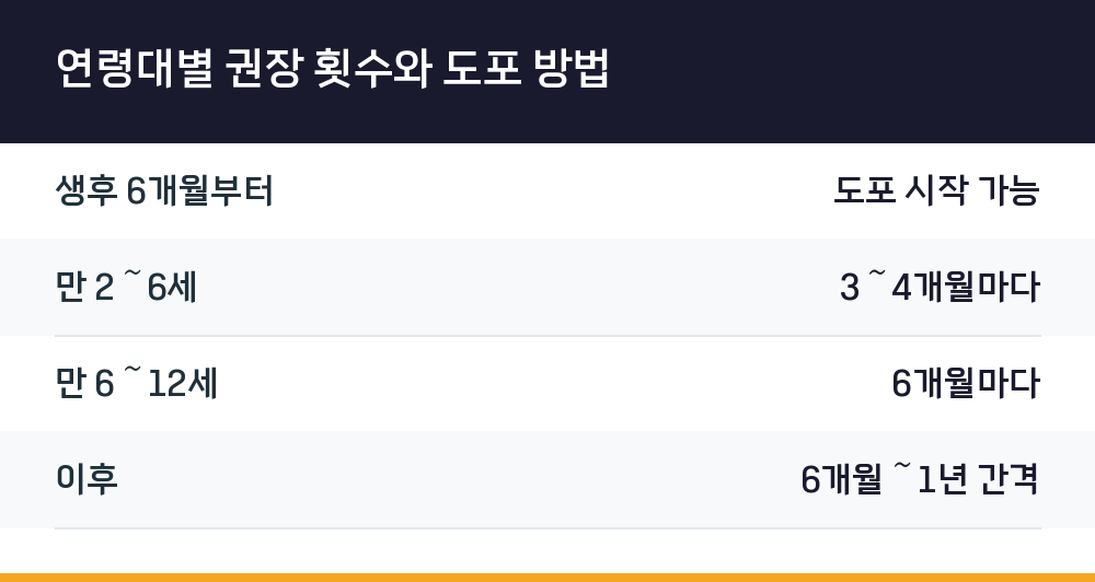 연령대별 권장 횟수와 도포 방법