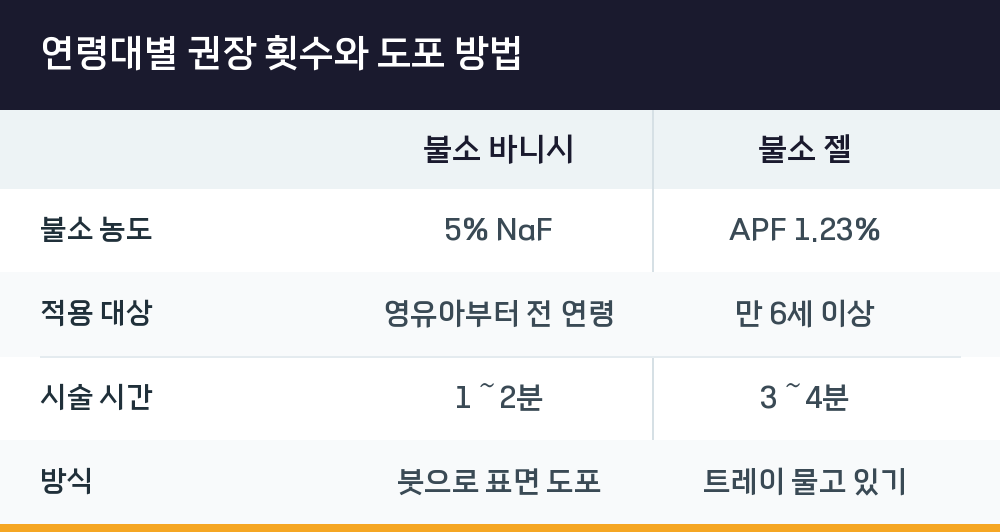 연령대별 권장 횟수와 도포 방법