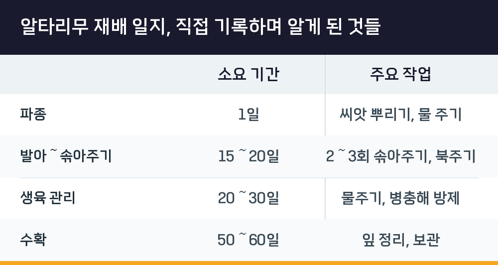 알타리무 재배 일지, 직접 기록하며 알게 된 것들