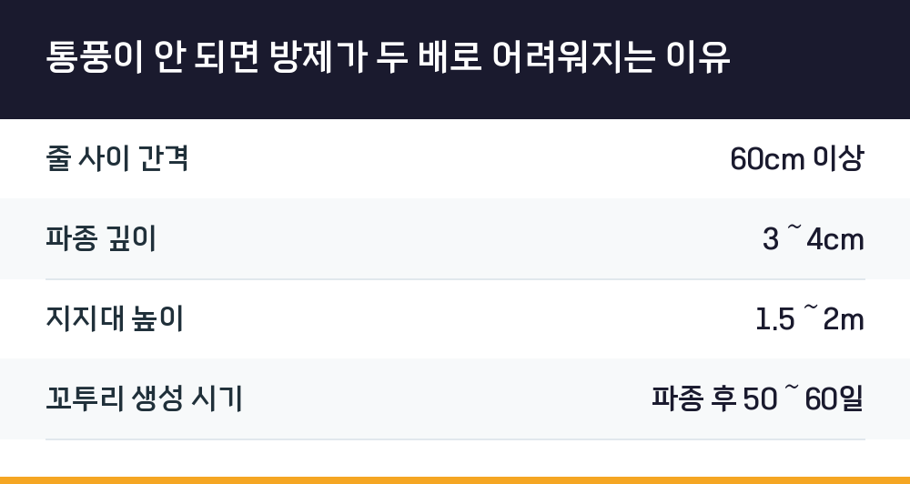 통풍이 안 되면 방제가 두 배로 어려워지는 이유