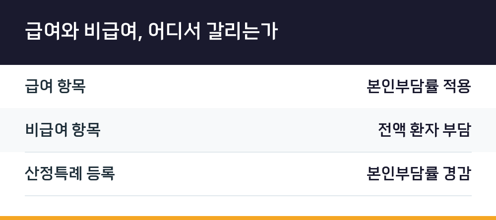 급여와 비급여, 어디서 갈리는가