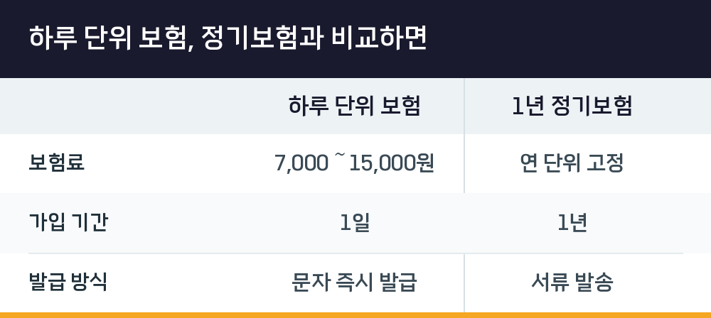 하루 단위 보험, 정기보험과 비교하면