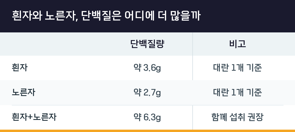흰자와 노른자, 단백질은 어디에 더 많을까