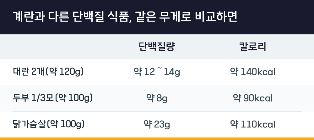 계란과 다른 단백질 식품, 같은 무게로 비교하면