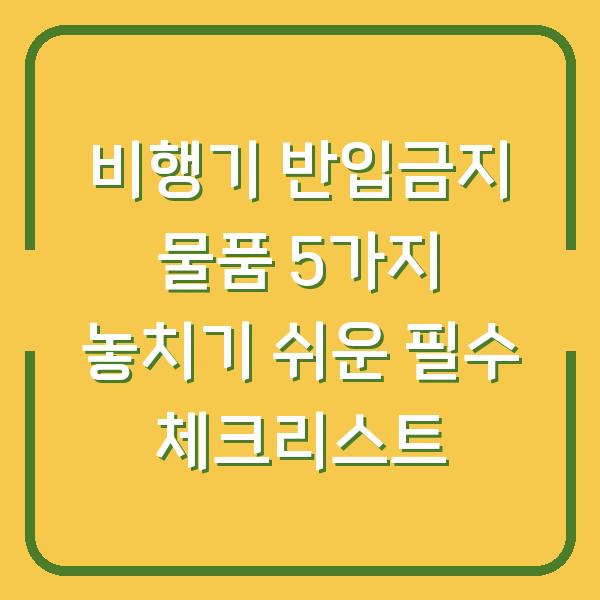 비행기 반입금지 물품 5가지 놓치기 쉬운 필수 체크리스트