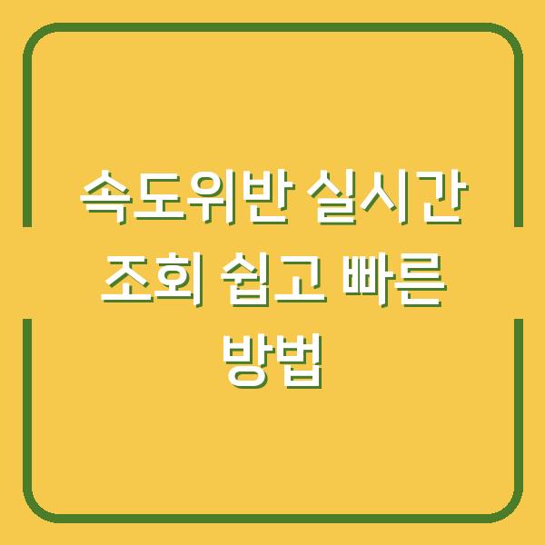 속도위반 실시간 조회 쉽고 빠른 방법