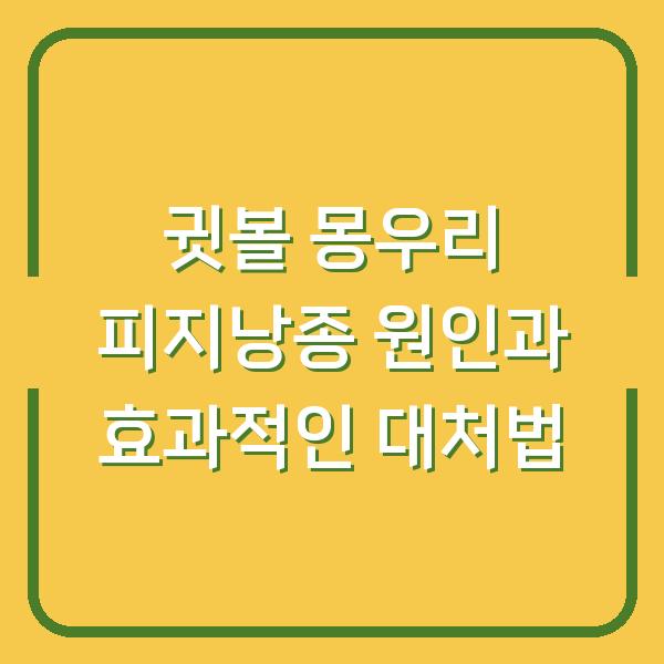 귓볼 몽우리 피지낭종 원인과 효과적인 대처법