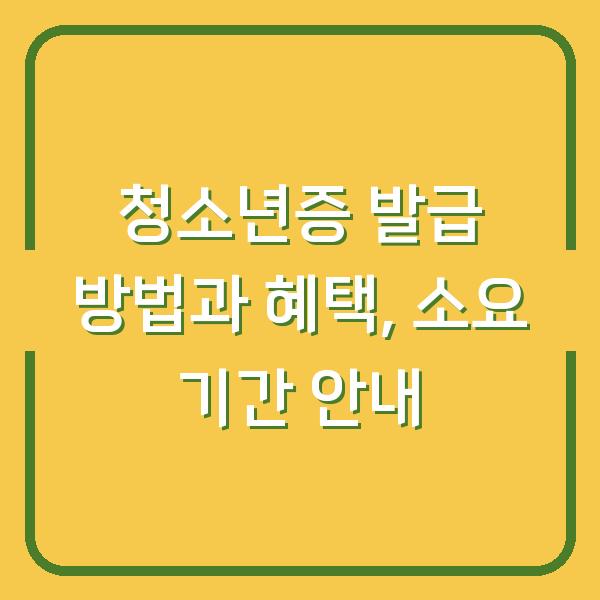 청소년증 발급 방법과 혜택, 소요 기간 안내