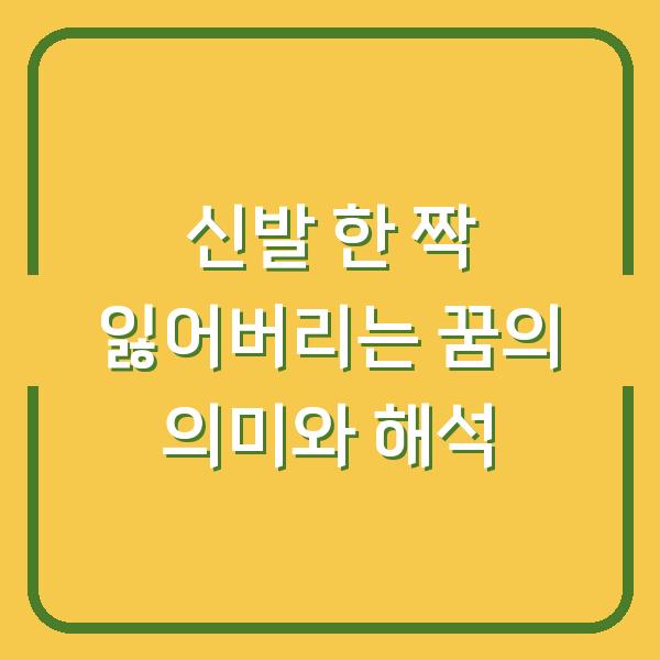 신발 한 짝 잃어버리는 꿈의 의미와 해석