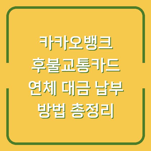 카카오뱅크 후불교통카드 연체 대금 납부 방법 총정리