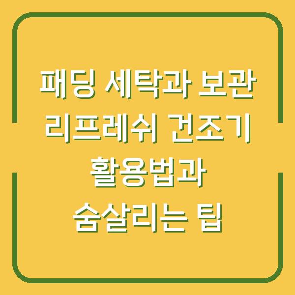 패딩 세탁과 보관 리프레쉬 건조기 활용법과 숨살리는 팁