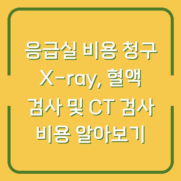 응급실 비용 청구 X-ray, 혈액 검사 및 CT 검사 비용 알아보기