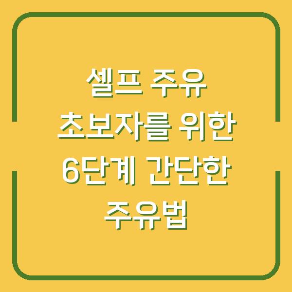 셀프 주유 초보자를 위한 6단계 간단한 주유법