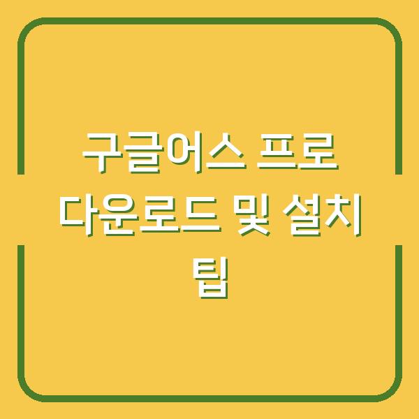 구글어스 프로 다운로드 및 설치 팁