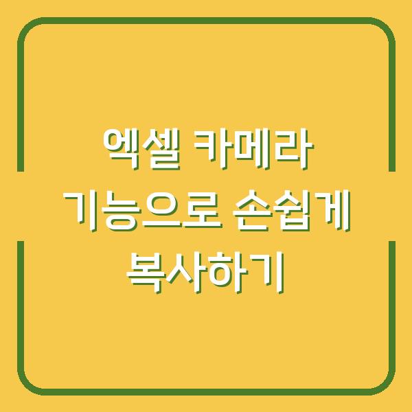 엑셀 카메라 기능으로 손쉽게 복사하기