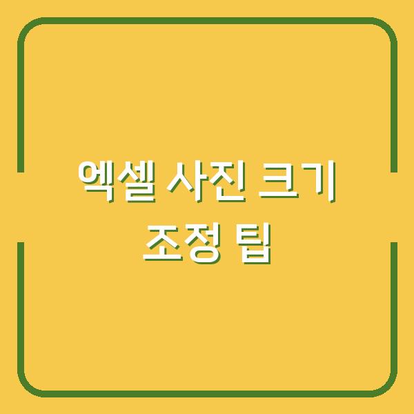엑셀 사진 크기 조정 팁
