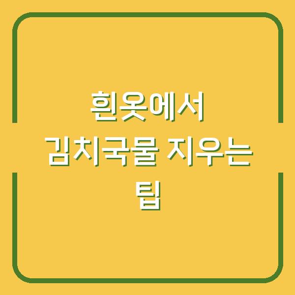 흰옷에서 김치국물 지우는 팁