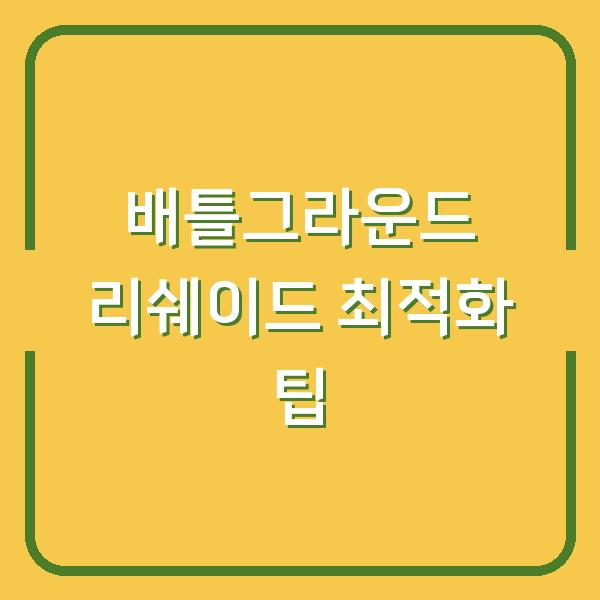 배틀그라운드 리쉐이드 최적화 팁