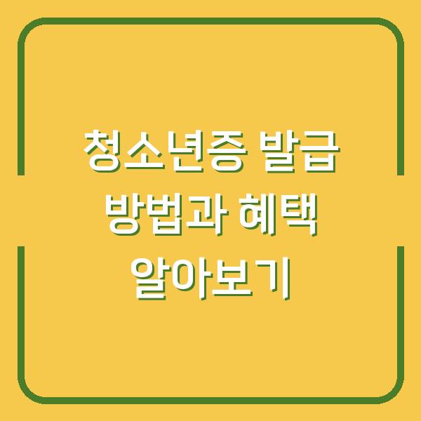 청소년증 발급 방법과 혜택 알아보기