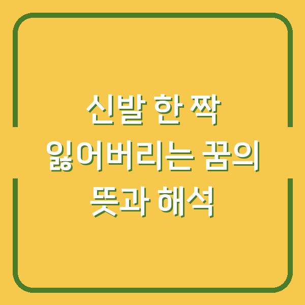 신발 한 짝 잃어버리는 꿈의 뜻과 해석