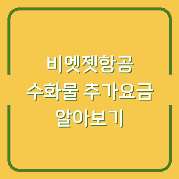 비엣젯항공 수화물 추가요금 알아보기