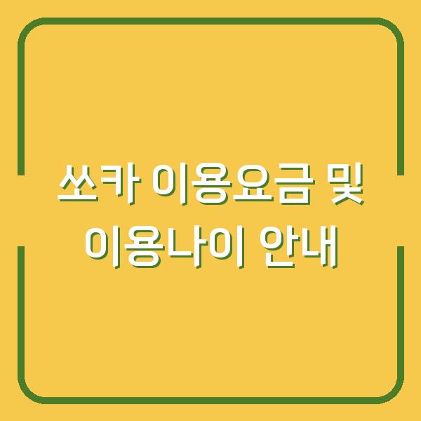 쏘카 이용요금 및 이용나이 안내