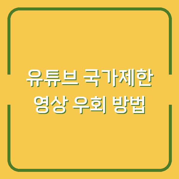 유튜브 국가제한 영상 우회 방법