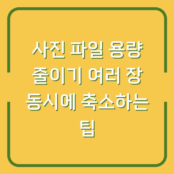 사진 파일 용량 줄이기 여러 장 동시에 축소하는 팁