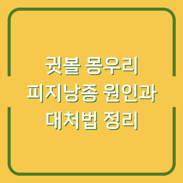 귓볼 몽우리 피지낭종 원인과 대처법 정리