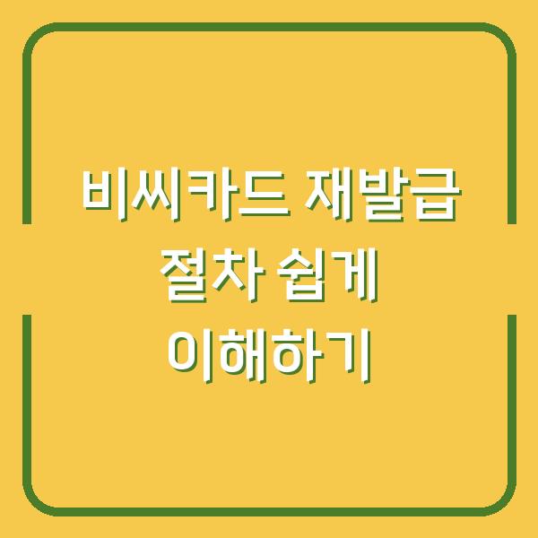 비씨카드 재발급 절차 쉽게 이해하기