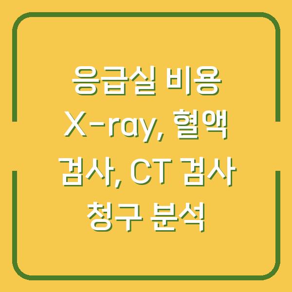 응급실 비용 X-ray, 혈액 검사, CT 검사 청구 분석