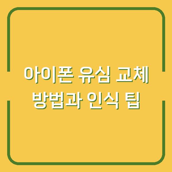 아이폰 유심 교체 방법과 인식 팁