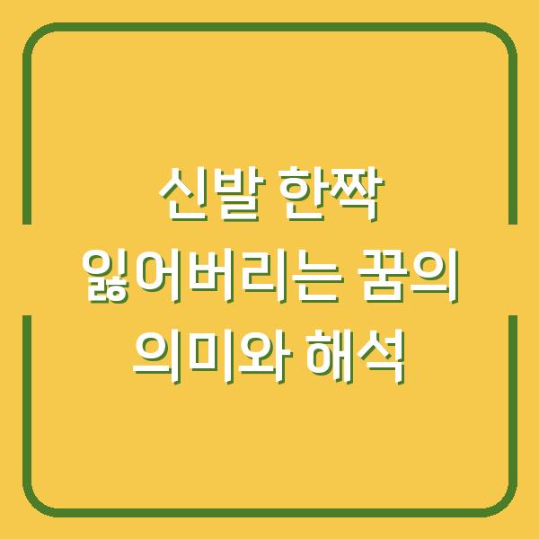 신발 한짝 잃어버리는 꿈의 의미와 해석