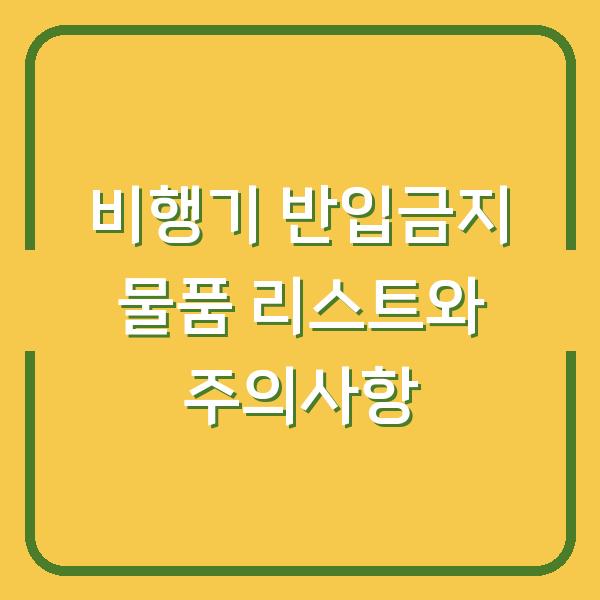 비행기 반입금지 물품 리스트와 주의사항