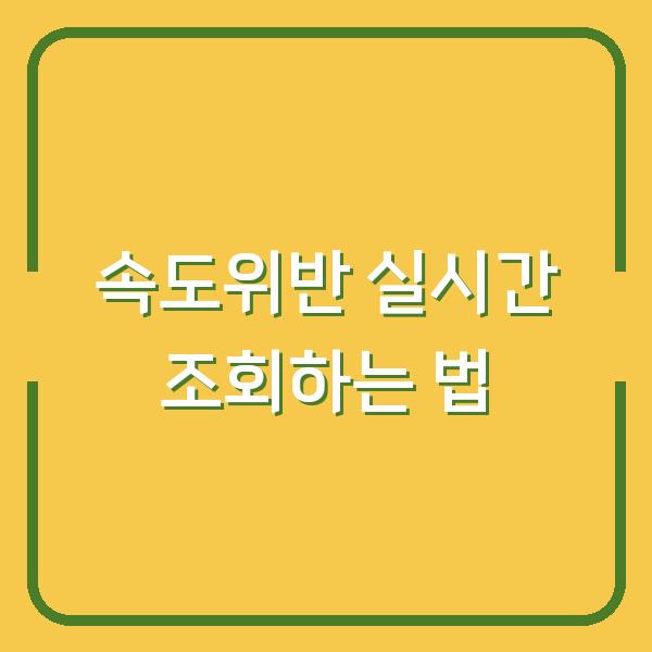 속도위반 실시간 조회하는 법