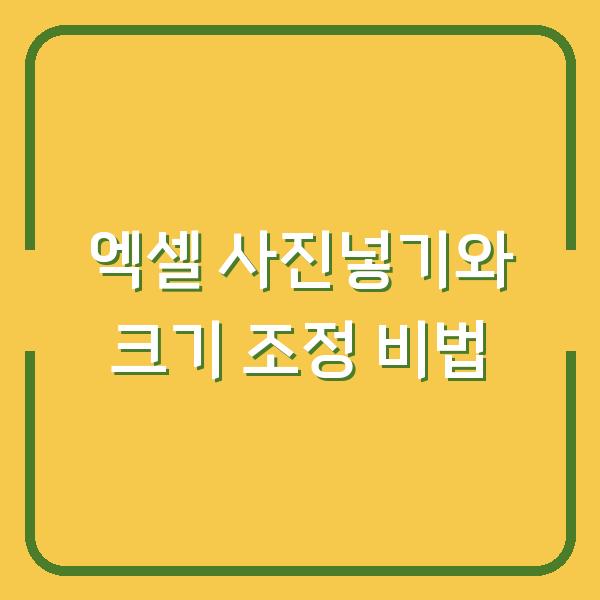 엑셀 사진넣기와 크기 조정 비법